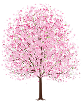 a flowering tree